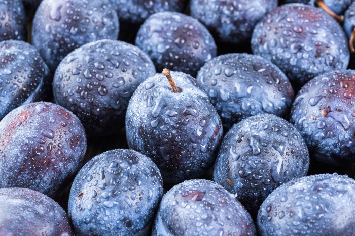 How to prune monstera