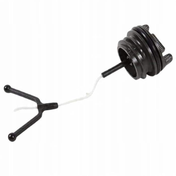 How do mice get in your house