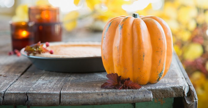 8 Inexpensive Ways to Decorate Your Home for Fall - Ramsey Overlooked places to decorate for fall