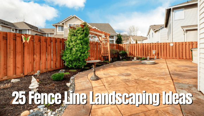 Simple fence line landscaping ideas