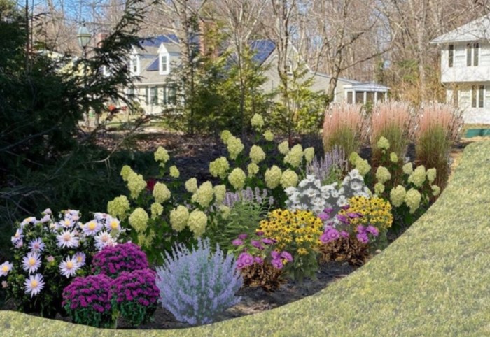 Best plants to attract hummingbirds to your yard