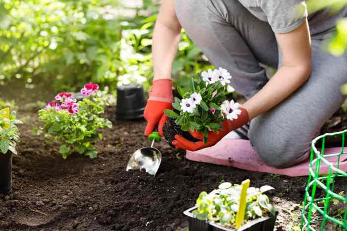 Gardening: Tips and Tricks for Beginners Gardening prep before the first frost