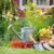 Gardening Prep Before First Frost Winterizing Your Garden