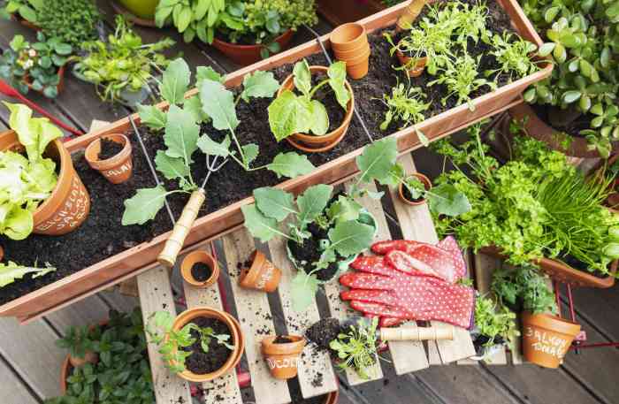 Gardening tasks to skip before spring