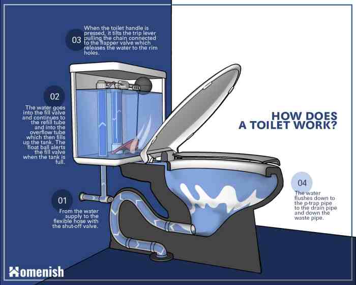 The parts of a toilet