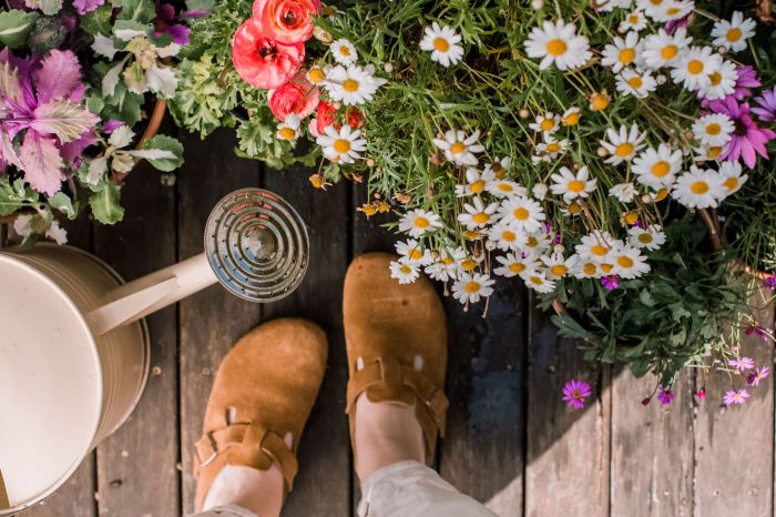 How much to water plants in fall