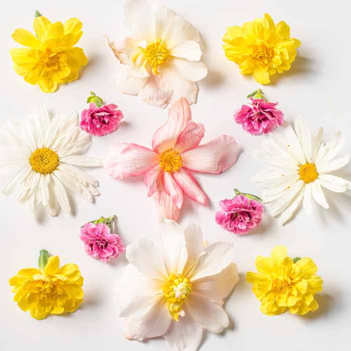 Different ways to dry flowers