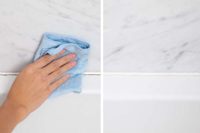 How to get rid of mold