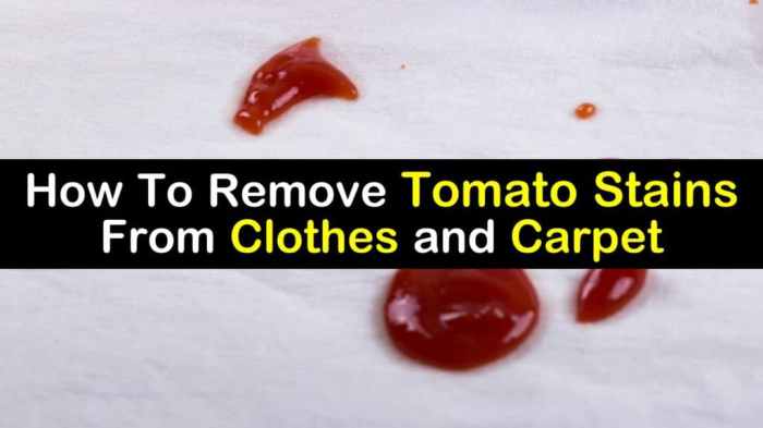 How to remove tomato sauce stains