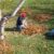 Tips That Will Make Raking Leaves Easier