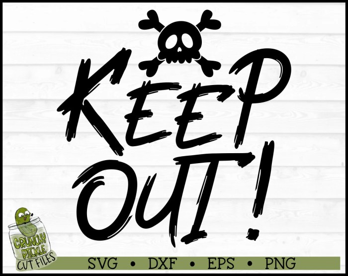 How to keep raccoons out of bird feeders