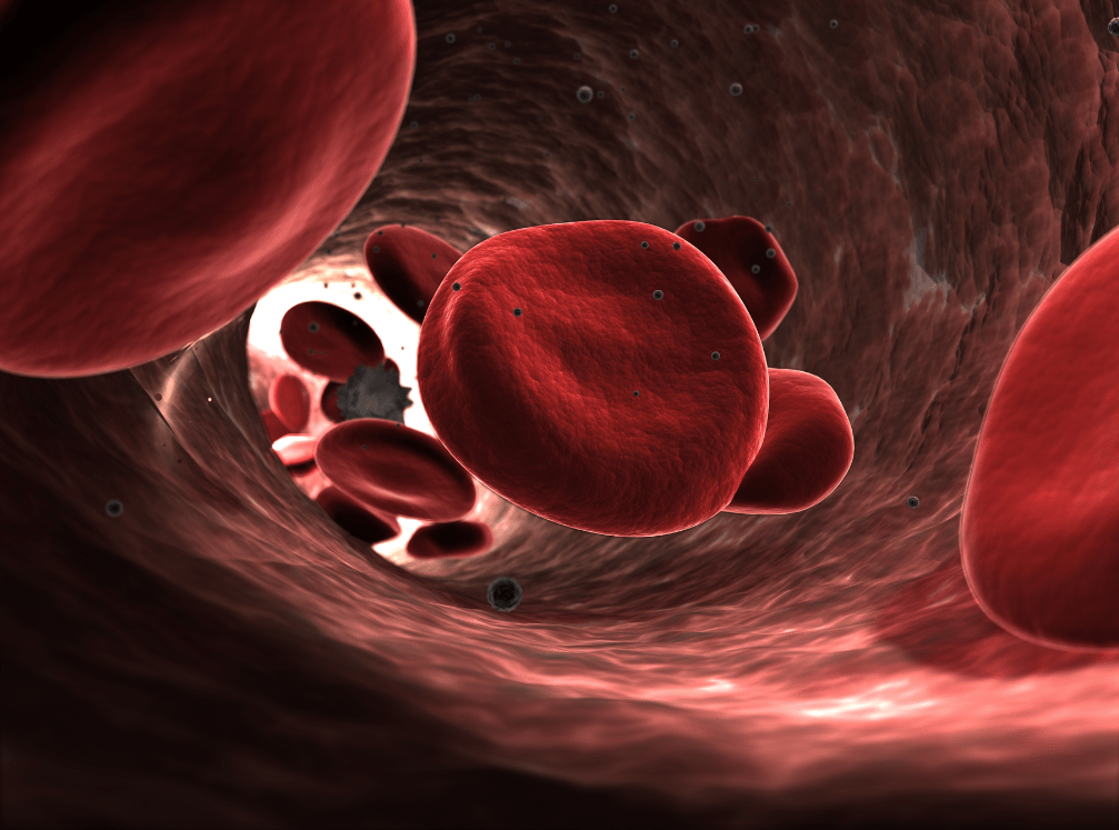 Blood Types and Predispositions - Dr Robert Brody Blood meal uses benefits