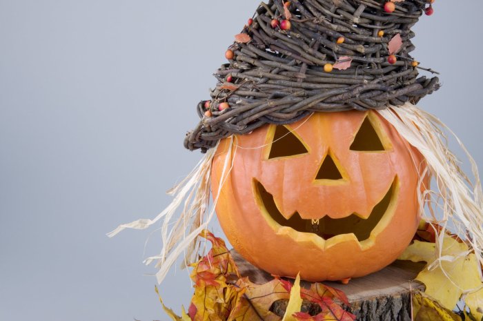 Ways to make a jack o lantern last longer