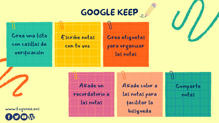 How to keep raccoons out of bird feeders