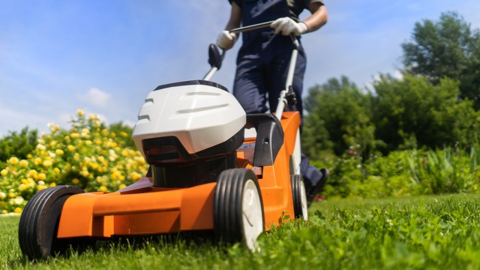 When to mow lawn after seeding