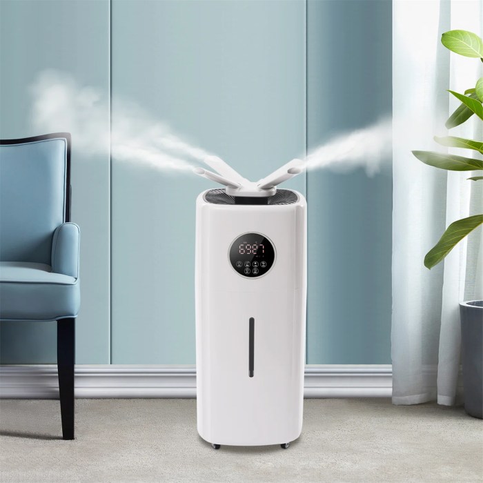 Best humidifiers for plants