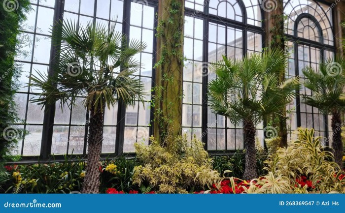 Botanical decor ideas and designer tips