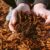 How Often Should You Replace Mulch? A Gardeners Guide