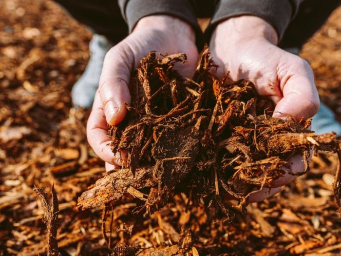 How often should you replace mulch
