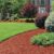 How to Mulch Hostas A Complete Guide