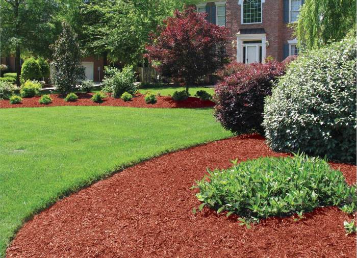 How to mulch hostas