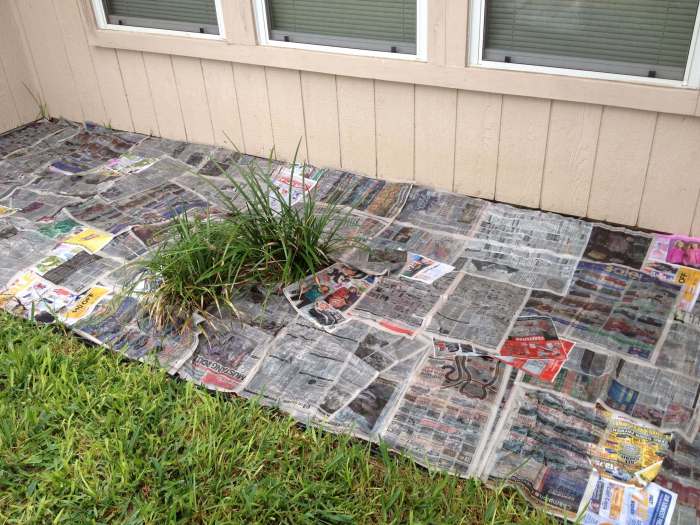 Reuse newspapers in the garden