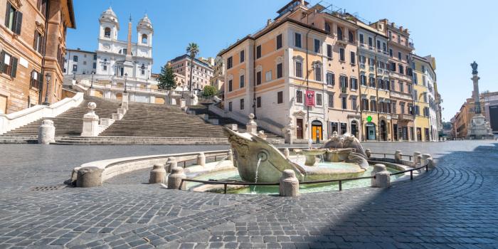 Roma tomato growing guide