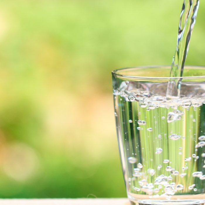 When to water poinsettias