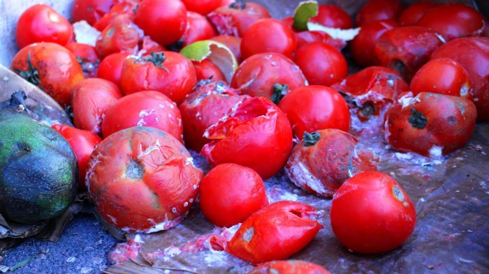 Rotten egg smell in house