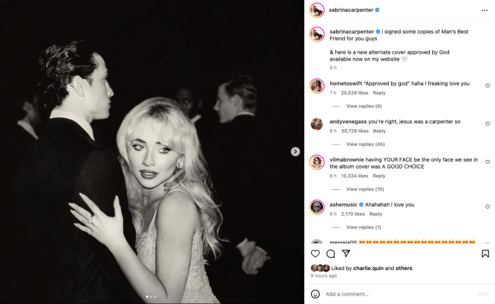 Signs of carpenter ants in house