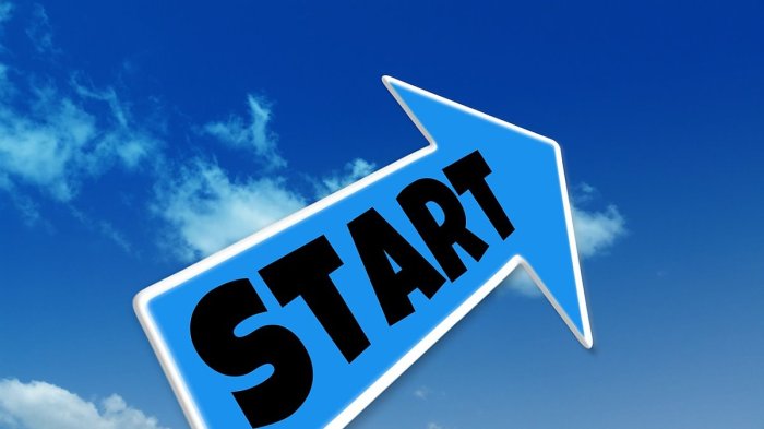 How to start and grow a kitchen garden