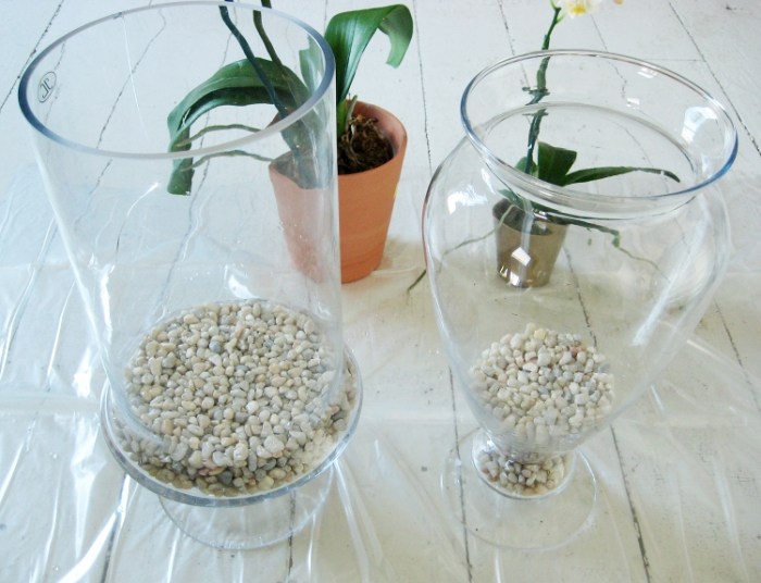 How to make a beautiful orchid terrarium