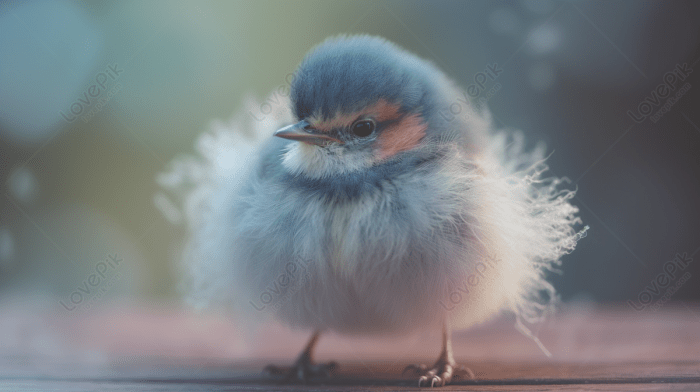 Buy Mini iLight 16 Pro Max World's Smallest 16Pro Android Mobile Phone ... Small laundry room top loading machine