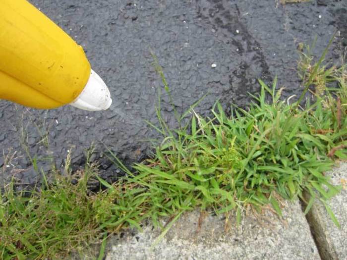 Does vinegar actually kill weeds