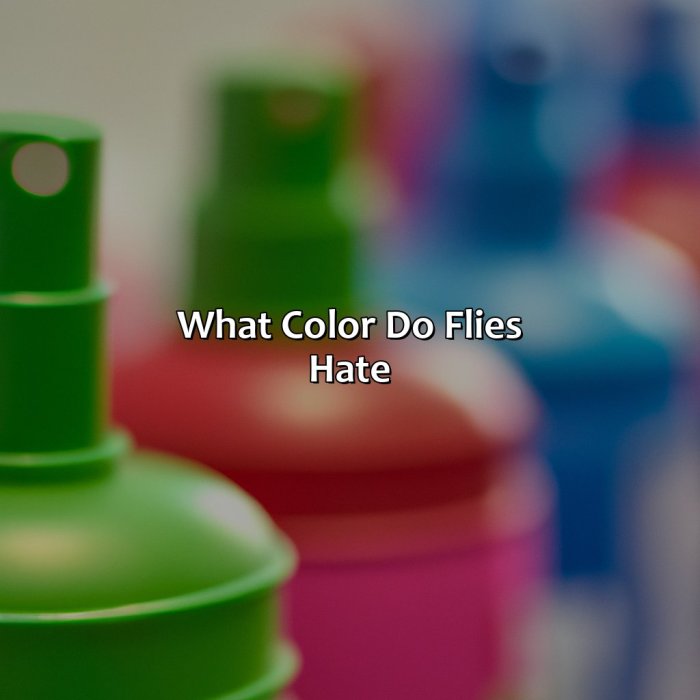 What smell do flies dislike