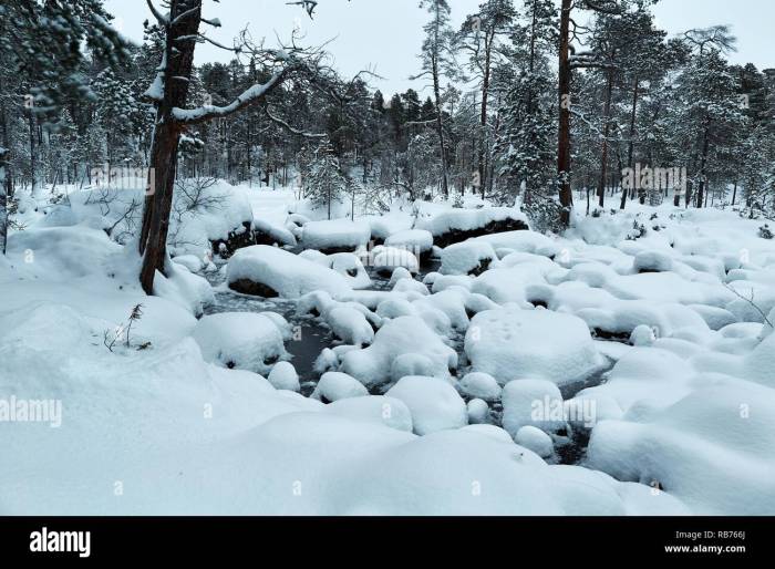 Winter Snowy Landscape Stock Photo - Alamy Winter care for vegetable gardens