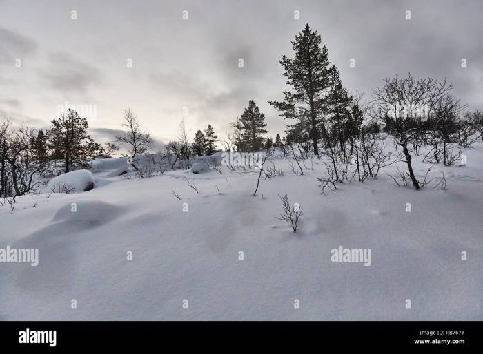 Search Results | Cleveland Metroparks Winter survival tips for houseplants