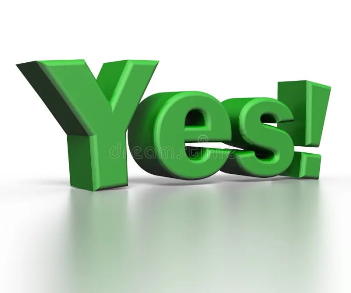 Can i plant supermarket mums in the ground