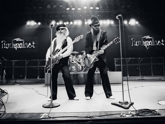 Zz zanzibar gem plant profile