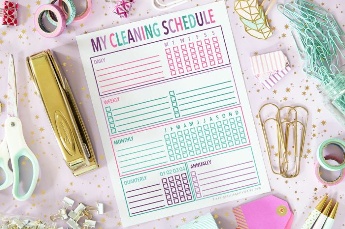 House cleaning schedule for every day