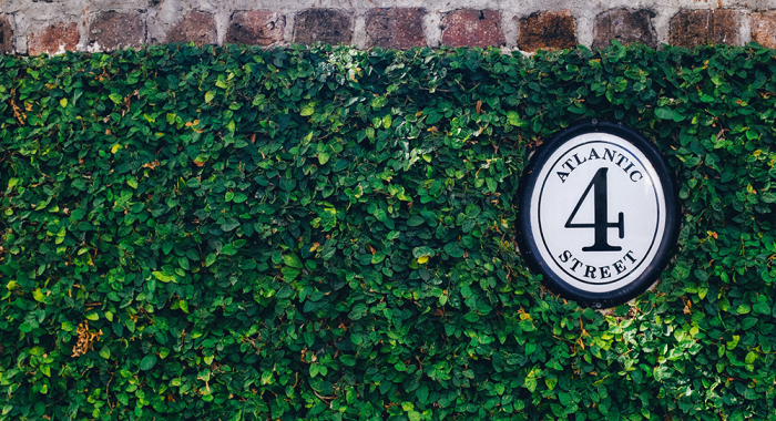 When to trim boxwoods