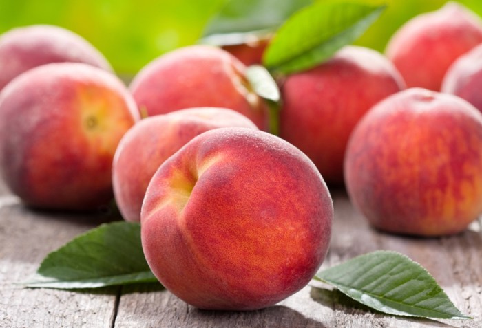 Tree Fruit Crops | Vegetable Resources Peach tree leaves turning yellow