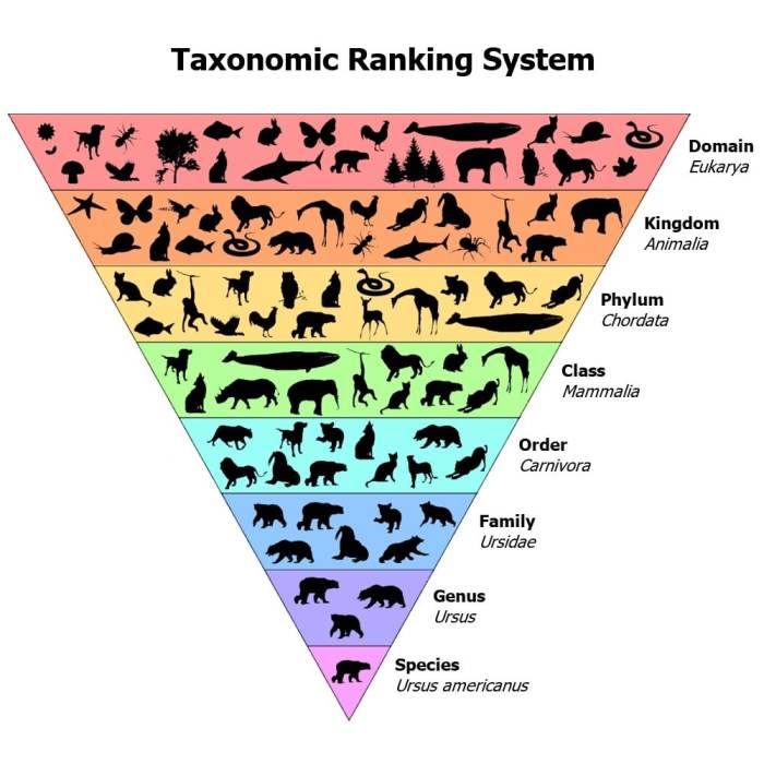 Bloom's Taxonomy Levels of Learning: The Complete Post Taxonomy of yarrow plants