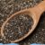 How to Grow Chia Seeds A Beginners Guide