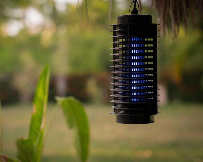 How to get rid of mosquitoes in backyard naturally