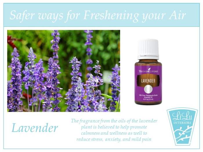 Natural ways to freshen bedroom air