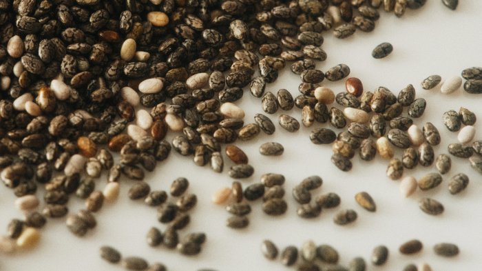 How to grow chia seeds