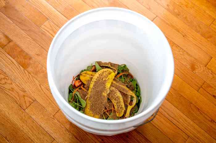 Bokashi Composting Basics Your Guide