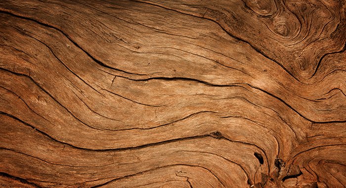 Wood kitchens back in style