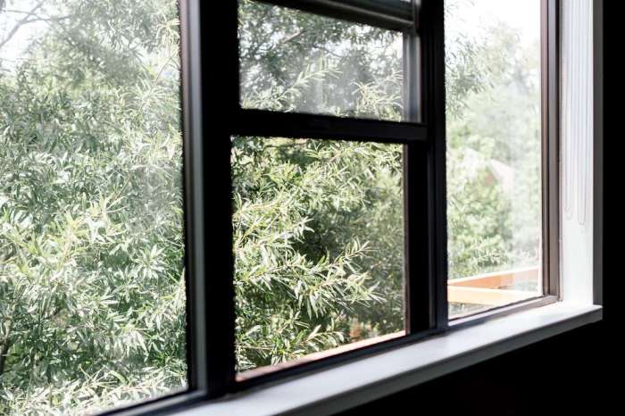 Natural ways to freshen bedroom air